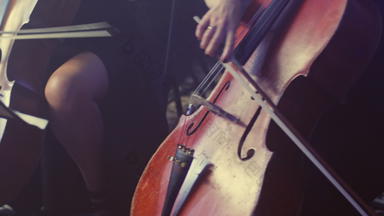 女大<strong>提琴</strong>球员玩violoncello女人手玩大<strong>提琴</strong>